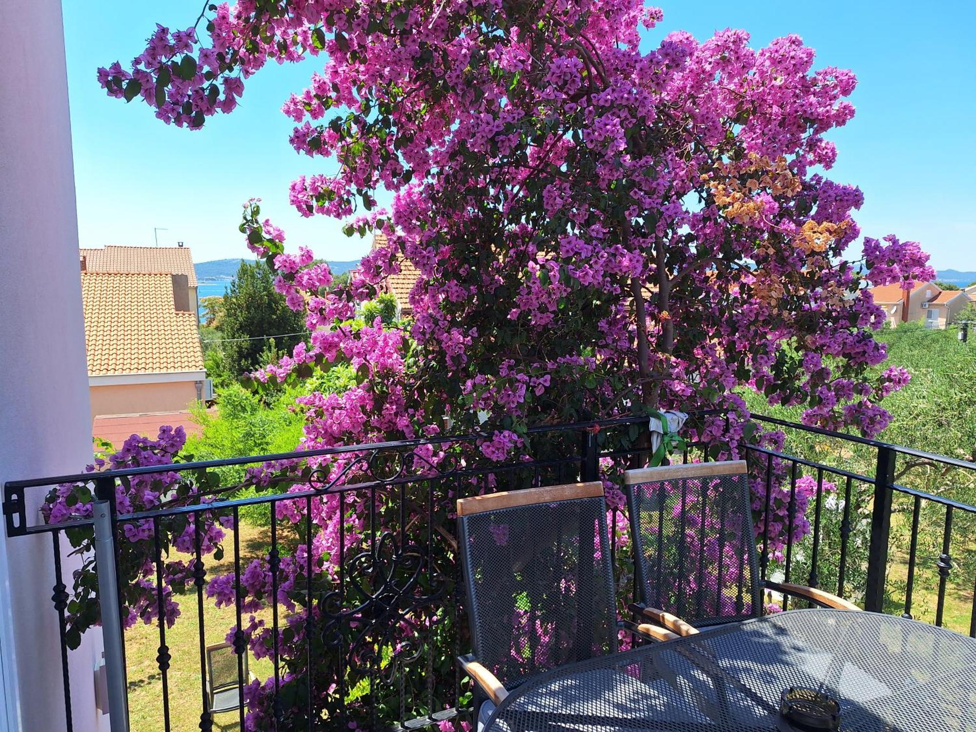Apartments Vodopija 300M To The Beach Sveti Filip i Jakov Chambre photo