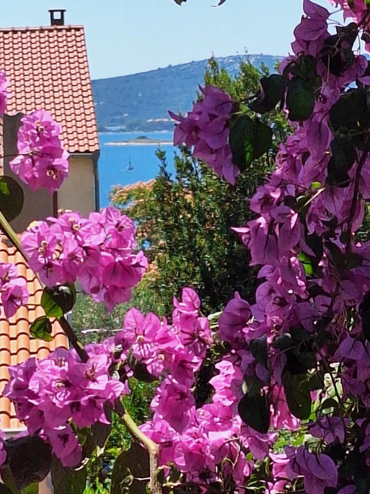 Apartments Vodopija 300M To The Beach Sveti Filip i Jakov Chambre photo